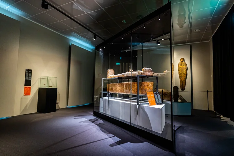 Lietuvos nacionalinis muziejus ISTORIJŲ NAMAI